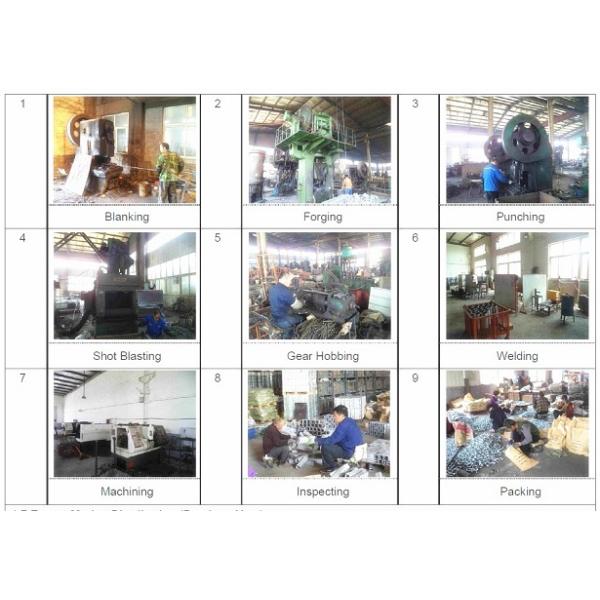 Forged Steel Power Line Fittings Tower Pole Step Bolt HDG Surface Finished