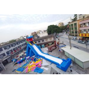 Dragon Inflatable Water Slides Adult Amusement Park Super Slide