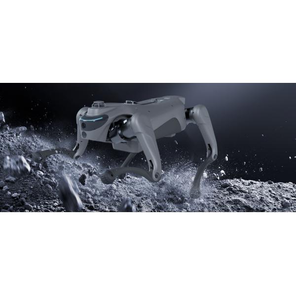 Intelligent Robot Dog With 2D LiDAR L1 Automatic Telescopic Handle Strap For Autonomous Navigation And Mapping
