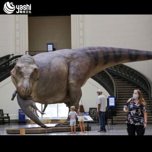 Animated Authentic Tyrannosaurus Rex Sculpture for Dinosaur Park Custom