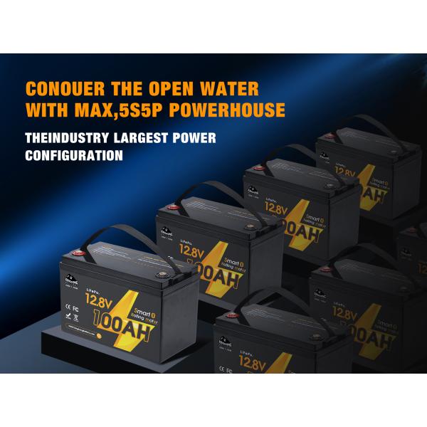 Exide 12V 24 48V Volt 5 7 9 12 14 18 20 24 28 35 50 100 110 120 150 200 300Ah Amp Hour Hr Deep Cycle Lifepo4 Lithium Ion Battery