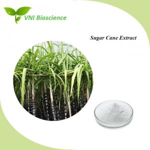 China Natural Sugar Cane Extract Powder 557-61-9 To Improve Stress Strength wholesale