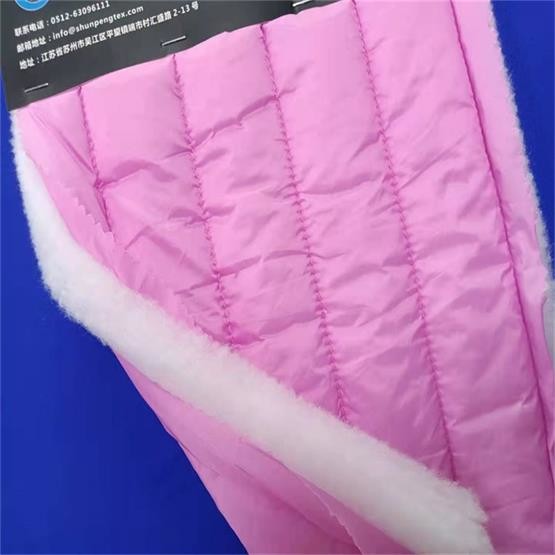 240gsm Soft Shell Material 20dx20d 137CM Quilting Nylon Taffeta Fabric