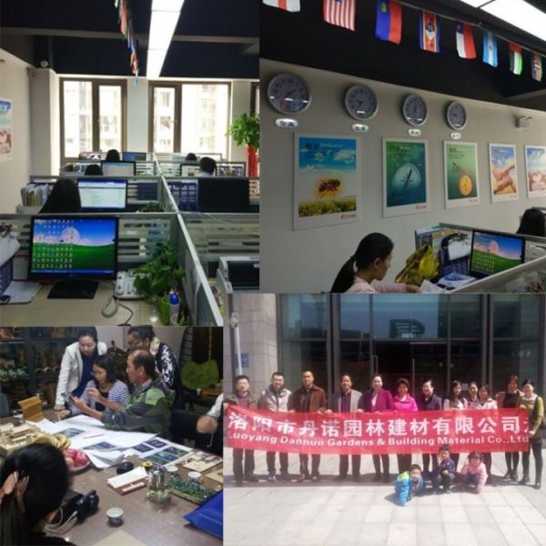 Hexagonal Chinese Pavilion Wooden Garden Gazebo 7