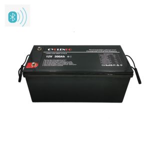 Lifepo4 Lithium Ion Bluetooth Rechargeable Battery 12V 300Ah 3000 Times Cycle