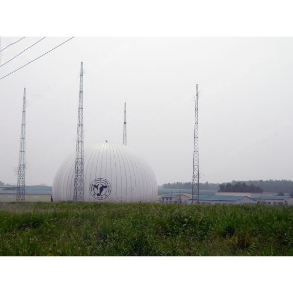 Ground Mounted Double Membrane Gas Storage Tank Polyester Fabric Biogas Storage Balloon 100m3 - 10,000m3