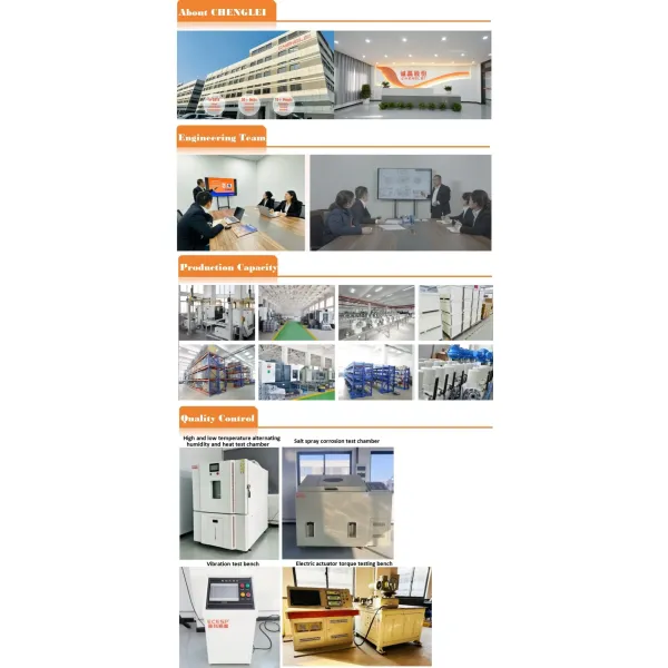 Chenglei Q5 50n. M Partial Turn 24VDC 4~20 Ma Intelligent on-off Electric Valve Actuator