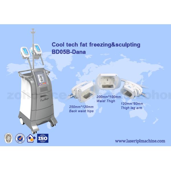 Quality 3 Size handles cryolipolysis cool slim body sculpting equipment / criolipolisys machine for sale