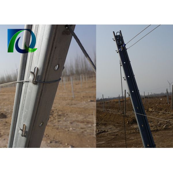 Eco Friendly Vineyard Fence Posts / Orchard Post With Accessories Weather Resistance