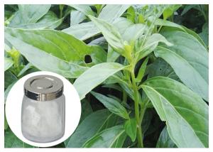 China 98% Andrographis Paniculata Supplement Powder Anti Cancer With HPLC Test wholesale