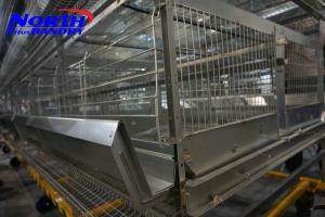 China How much does a layer cage cost? wholesale