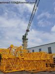 PT6013 Zoomlion Tower Crane Top Head Type 60m Working Jib 8tons Load Capacity