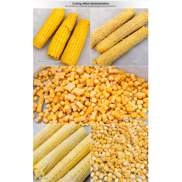 Corn thresher processing production Supplying Machine