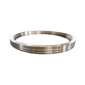OEM Customized Forging Stainless Steel Ring Forging Ring