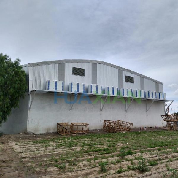 0 Celcius Walk in Freezer Chiller/Cool/Cold Storage Room Warehouse for Fresh Onion/Potato/Fruit/Vegetab