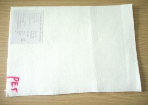 China 5 Micron PE Micron Filter Cloth / Filter Fabric For Industry Liquid Filter Bag wholesale