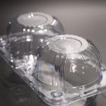 Eco Friendly Biodegradable PET Rectangular Food Container with 2 Compartments