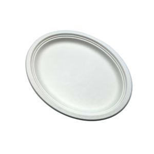 China 17g 10&quot; Oval Biodegradable Sugarcane Bagasse Plates wholesale