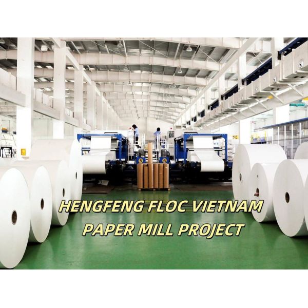 Factory Sale Paper Mill Water Treatment Polyacrylamide PAM Flocculant