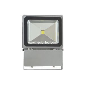 100w High Power LED projecting lamp led flood lighting