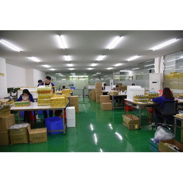 Shenzhen DWG Watch & Clock Company Limited