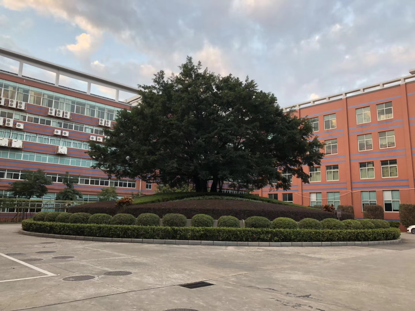 Open Fields Installation Site Solar Array Ground Mount System with Custom Design