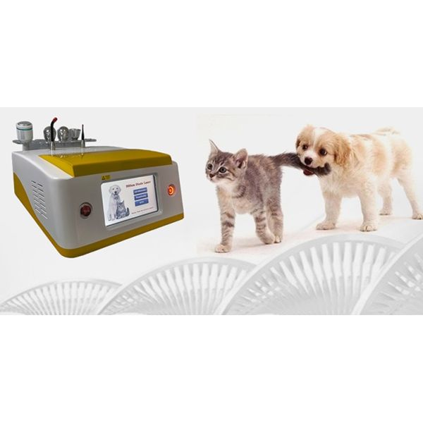 980 Nm Portable Diode Laser Hair Removal Surgical Version For Pet Beauty