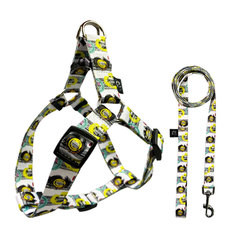 No Pull Dog Harness Set Adjustable Designer Dog Harness Leash Set