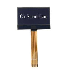 China COG Dot Matrix LCD Display 12864 Lcd Screen Low Power Consumption on sale