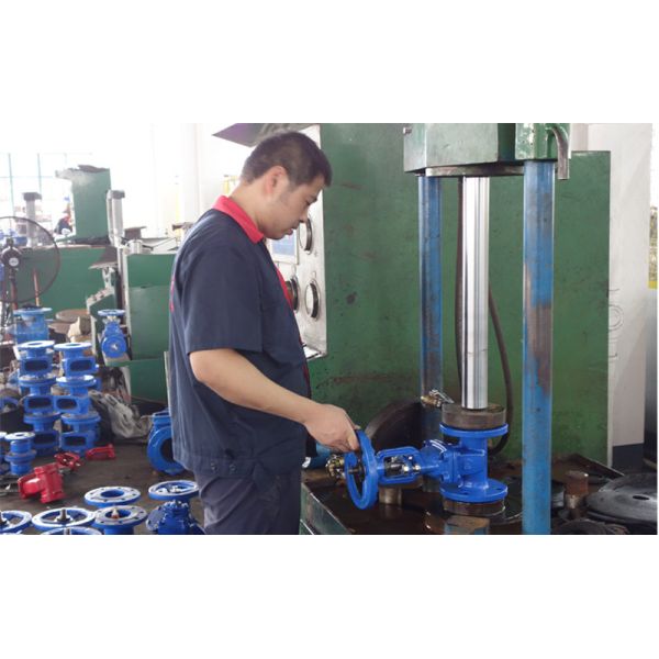 Zhejiang TongJiang Holdings Company