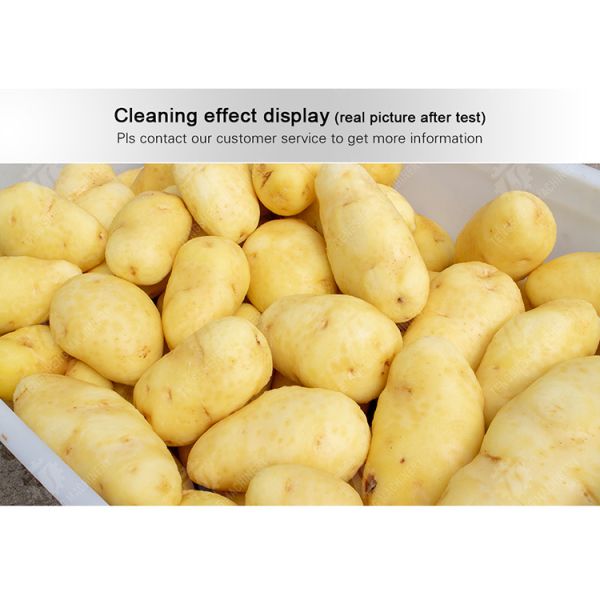 Ginger Potato Carrot Taro Sweet potato Yam Saiko persimmon papaya horseshoe Sealed Cover Type Peeling Machine Wash Washer Washing Cleaning