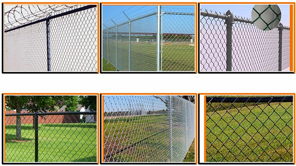 Galvanized Chain Link Fence / PVC Coated Chain Link Fence
