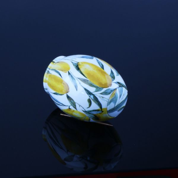 Simple Fashion Fruit Pattern Plastic Toothpick Holder