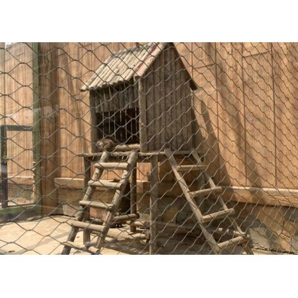 Stainless Steel 316 Wire Rope Netting Mesh 32mm Buckle Type Fencing