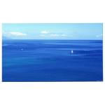 LM238WF5-SSE1 23.8 in Touch Screen LCD Display For HP 24-F1060 24-F0001NS