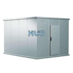 China 20 Cubic Cold Storage Parts Low Temperature Blast Freezer Cold Room With Insulation Panel wholesale