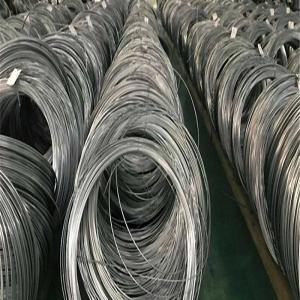 China Electric Fence Spring Stainless Steel Wire Rope 6mm A479 Bright Surface wholesale