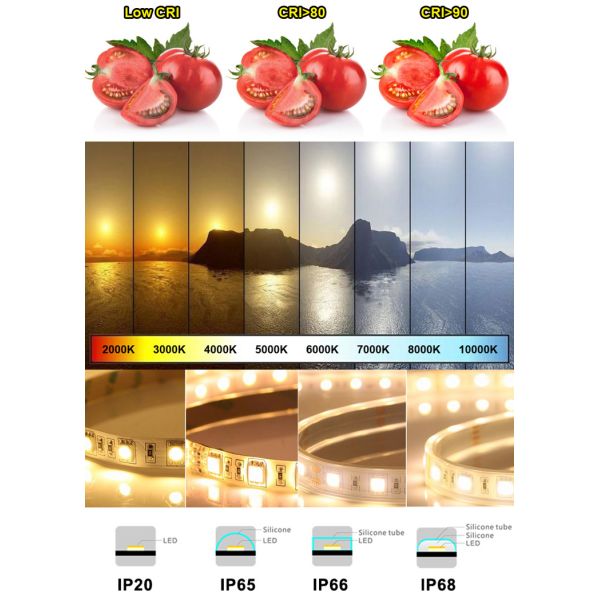 Custom Ra70 Flex LED Strip Lights 60 120 180 240L/M 8mm 10mm 12V 24V SMD 2835 IP20 IP65