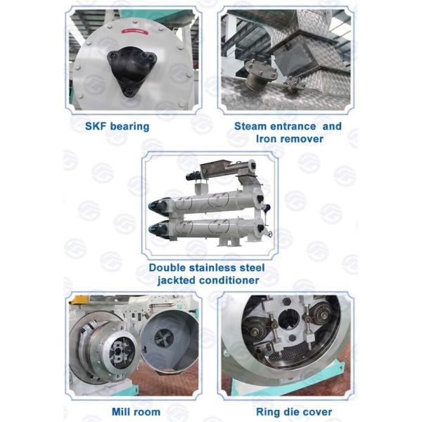 20TPH SKF Bearing Ring Die Granulator Large Capacity Animal Feed Production Procese