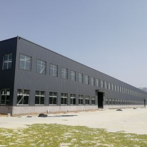 Q235 Q355 Prefab Steel Structure Warehouse with H-Section Beams