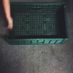 China Small collapsible plastic crates for fruits and vegetables wholesale