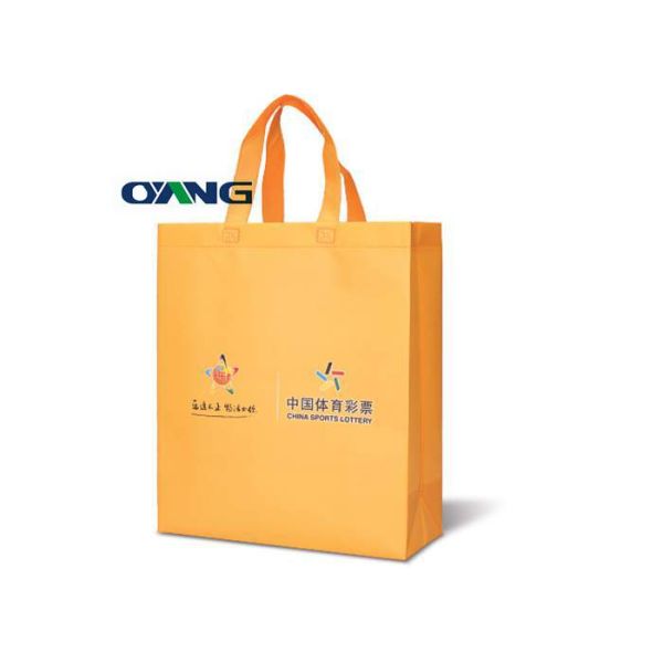 Fully Automatic Feeding System PP Non Woven Bag Making Machine Computerized