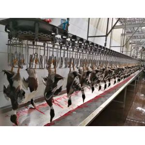 China ISO9001 Industrial Automatic Chicken Processing Line 2480*1340*1480mm wholesale