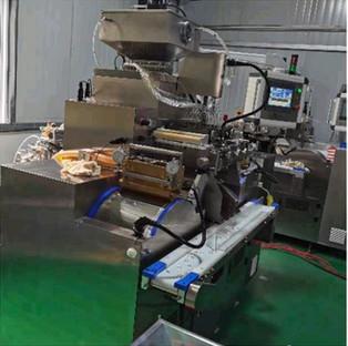 Vitamin E Ov Soft Gelatin Encapsulation Machine For Cosmetic