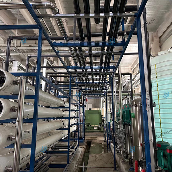 Customized Ultrapure Water Equipment OEM Manufacturing Installation & Commissioning