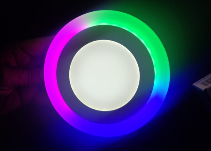 China Factory Mould Surface Dual Color Round Panel Light 12+4W White+PGB wholesale