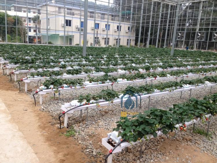 Vegetables PVC Drainage Substrate Planting Gutter Troughs Hydroponic Trough System