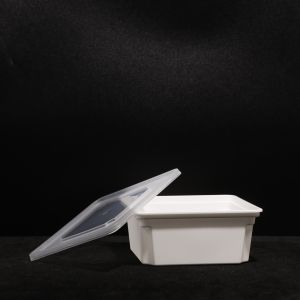 Snap On Leakproof Plastic Divided PP Lunch Box For Easy Picnic And Storage