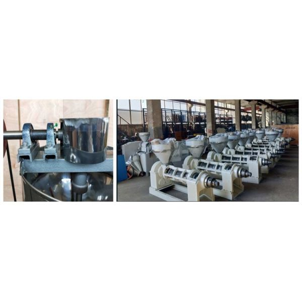 Almond Walnut Electric Oil Press Machine Low Residue Cake Long Term Runing