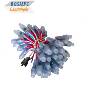 IP68 WS2811 LED Pixel String